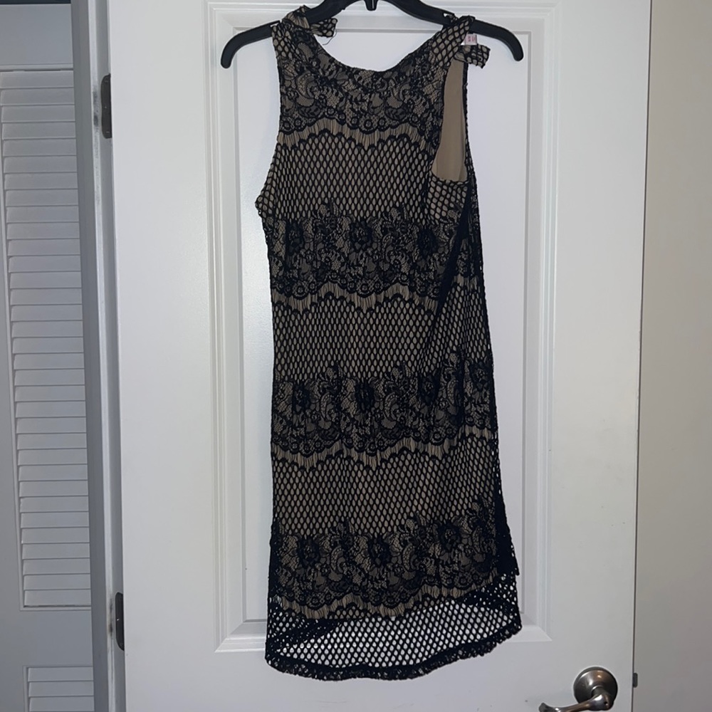 Lace Dress. With nude underskirt